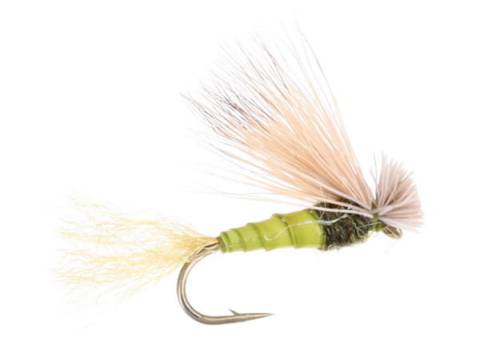 X Caddis Biot Body - Olive